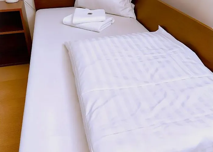 Casa de hóspedes Navara 3*