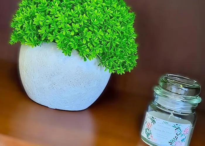 Navara بيت ضيافة كولين